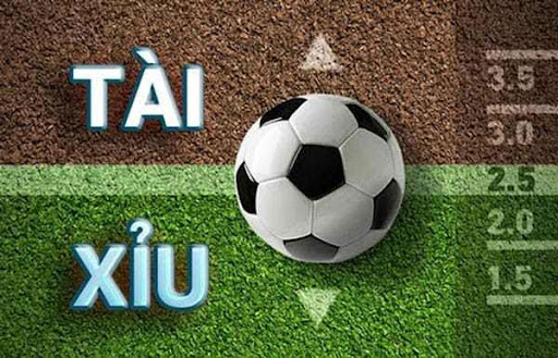 Cách chơi tài xỉu trên World Cup ăn tiền lớn