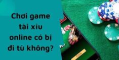 Chơi tài xỉu online bị bắt đi tù? Các hình thức cá cược tài xỉu?