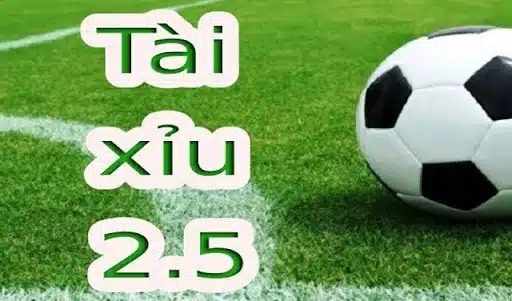 Giải thích nghĩa “Tài xỉu 2.5” trong cá cược bóng đá là gì